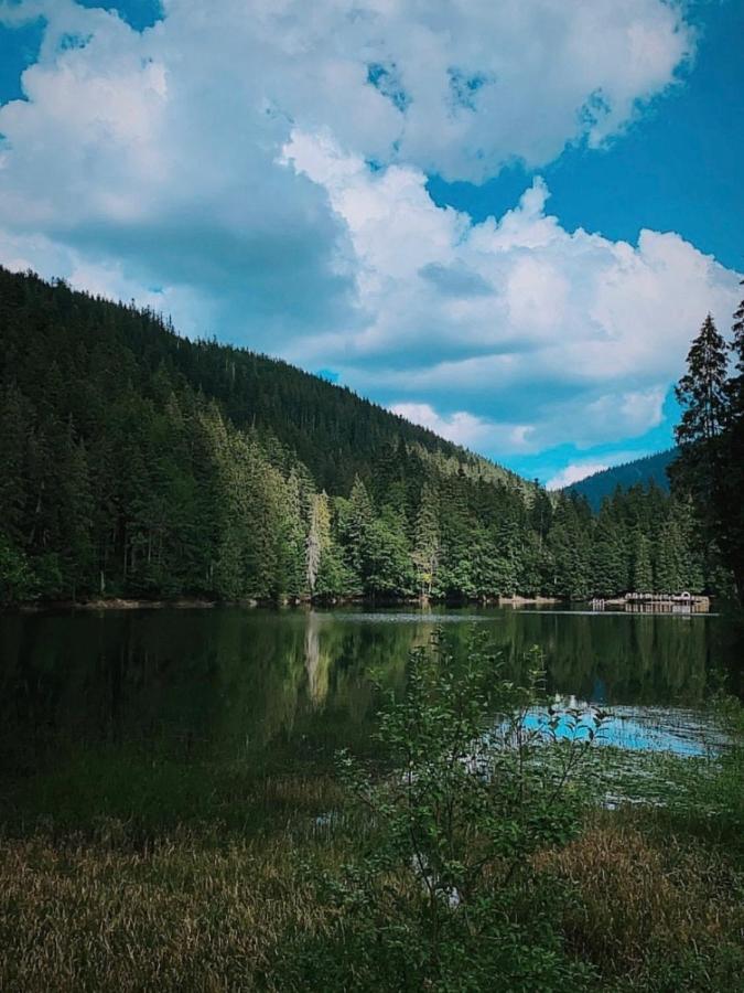 Chalet Borzhava Huklyvyy ภายนอก รูปภาพ