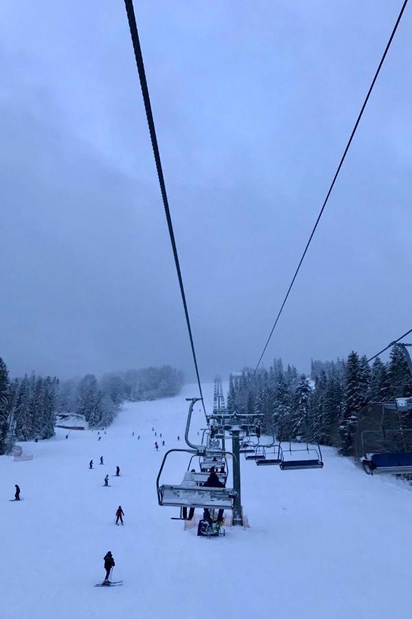 Chalet Borzhava Huklyvyy ภายนอก รูปภาพ